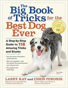 The Big Book of Tricks for the Best Dog Ever by Larry Kay and Chris Perondi